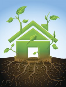 Growing house symbol like plant with leaves and roots