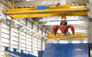 Crane waste plant